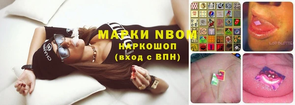 крисы Алексин