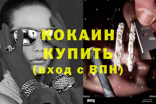 крисы Алзамай