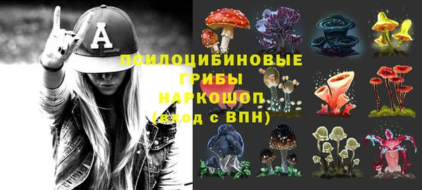 крисы Алексин