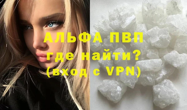крисы Алексин