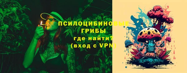 крисы Алексин