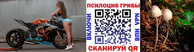 Псилоцибиновые грибы мицелий  дарнет шоп  Звенигово 